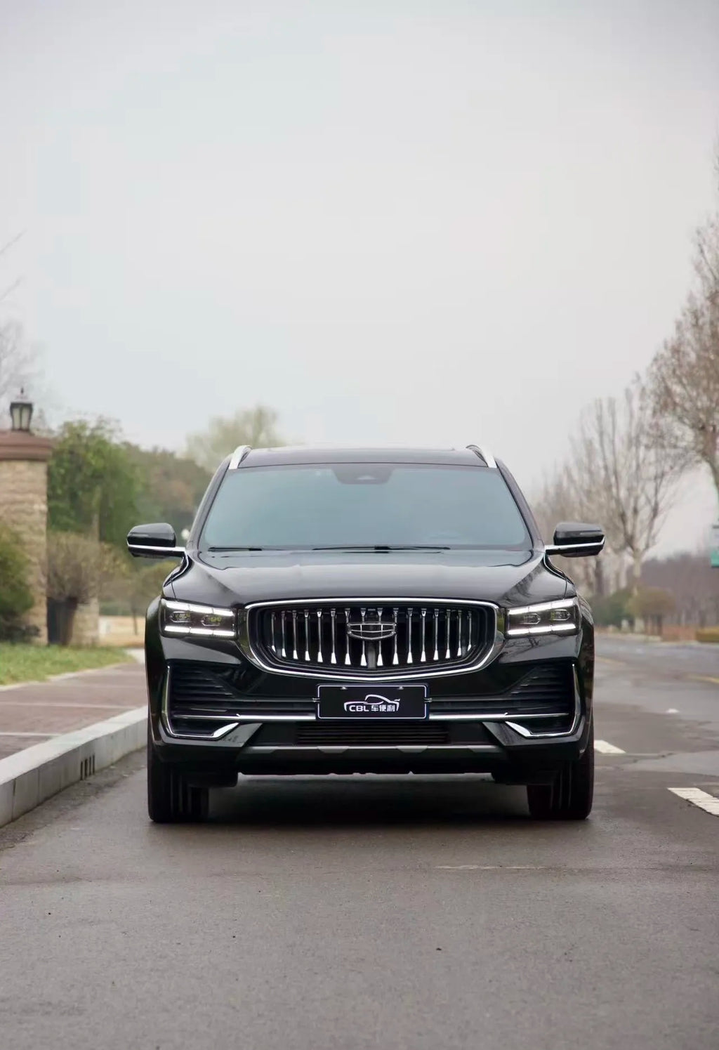 2023 Geely Xingyue L (2.0T High Power Flagship, Main Model)