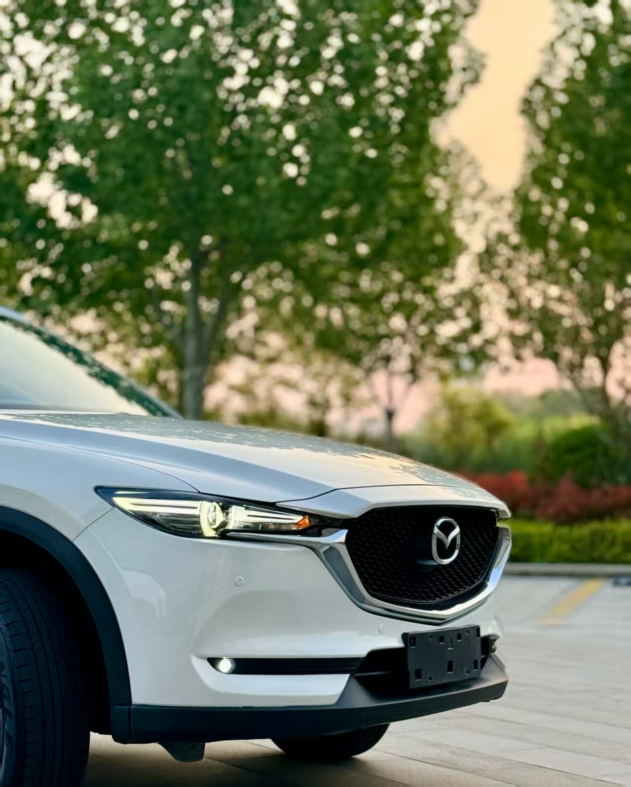 # 标准英文翻译 **2021 Mazda CX-5 2.5L Two-Wheel Drive Premium Edition (Automatic Transmission)**  ### 汽车行业精简通用版（外贸/海报常用） **2021 Mazda CX-5 2.5L FWD Supreme AT** - FWD = 前置前驱（两驱） - AT = 自动挡 - Supreme = 智尊型