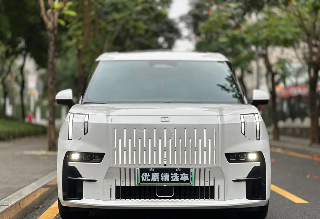 # 2022 ZEEKR 009 All-Electric Luxury MPV