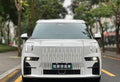 # 2022 ZEEKR 009 All-Electric Luxury MPV