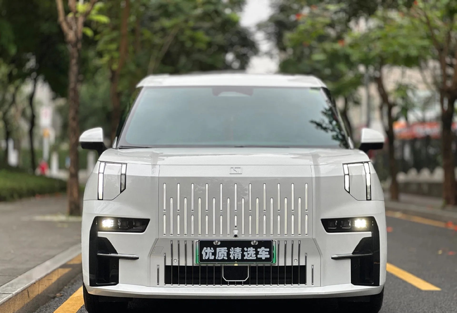 # 2022 ZEEKR 009 All-Electric Luxury MPV