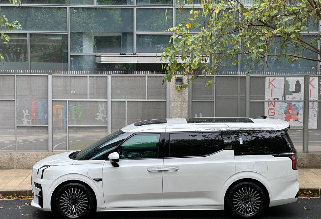# 2022 ZEEKR 009 All-Electric Luxury MPV