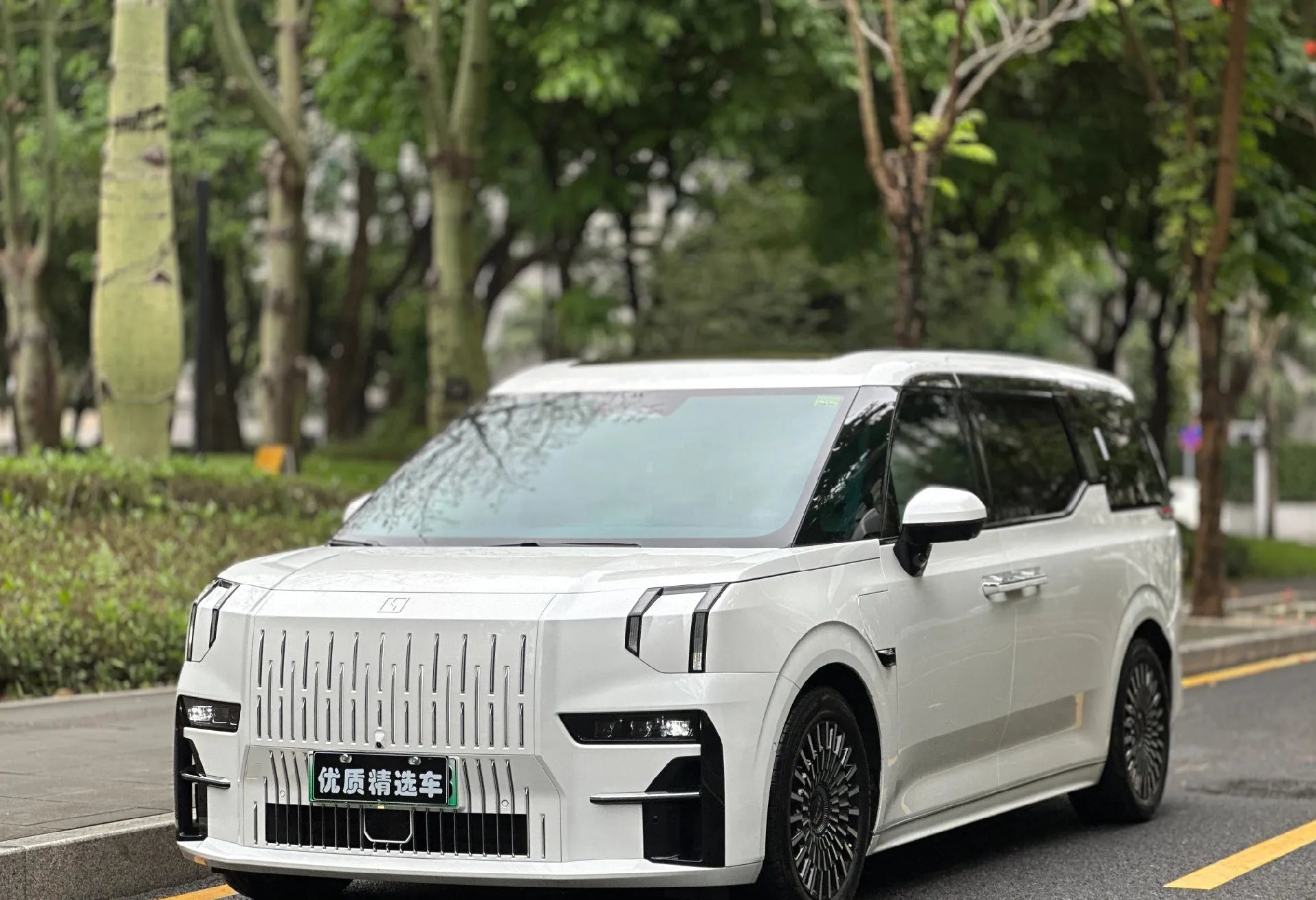 # 2022 ZEEKR 009 All-Electric Luxury MPV