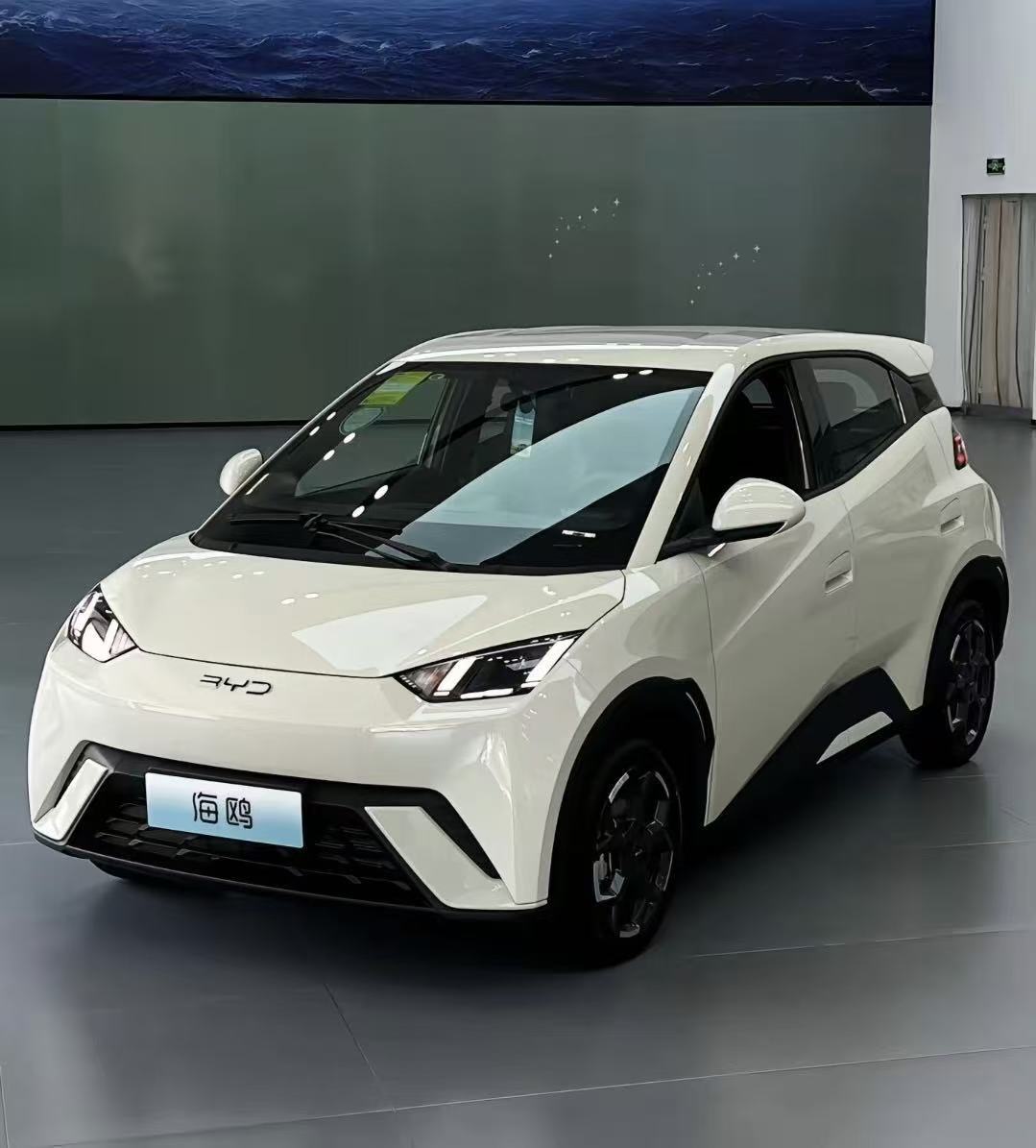 BYD Seagull 2026 305km Active Edition