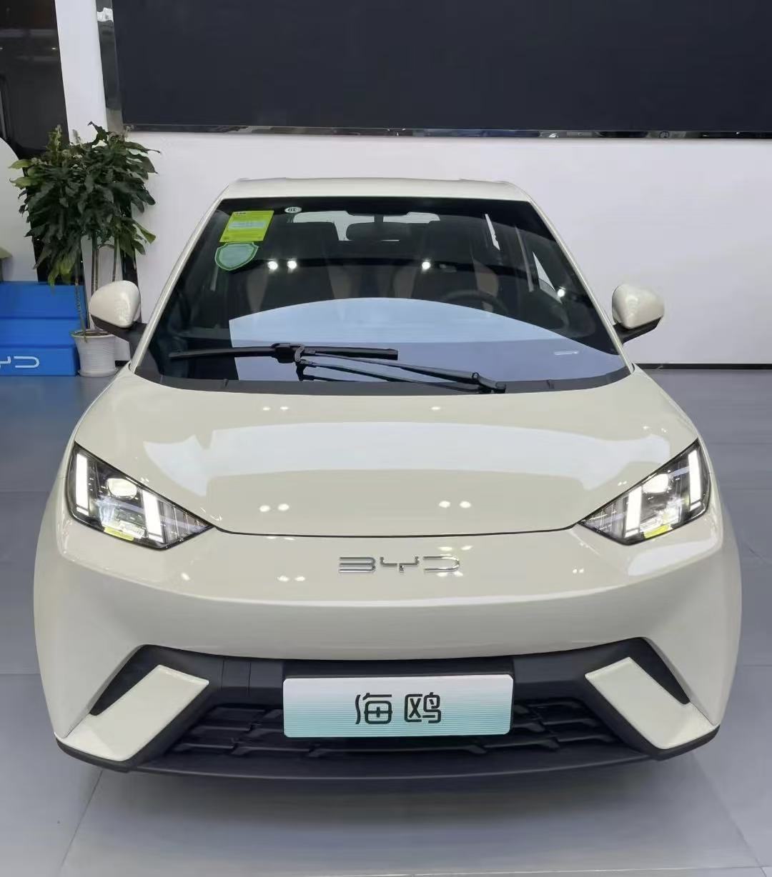 BYD Seagull 2026 305km Active Edition